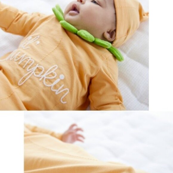 POTTERY BARN KIDS BABY PUMPKIN BUNTING 0-6 months - Picture 3 of 4